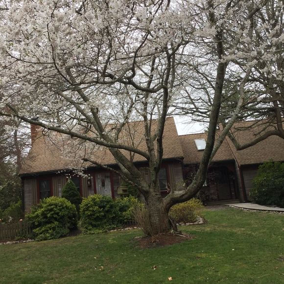 Meet your Posher, Liz - Picture 1 of 1